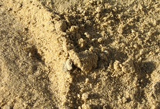 Песок с доставкой екатеринбург